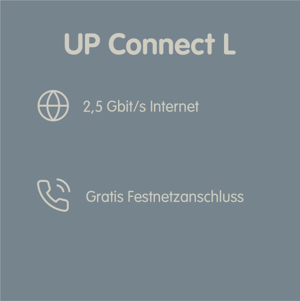 CHF 81.30/Mt.